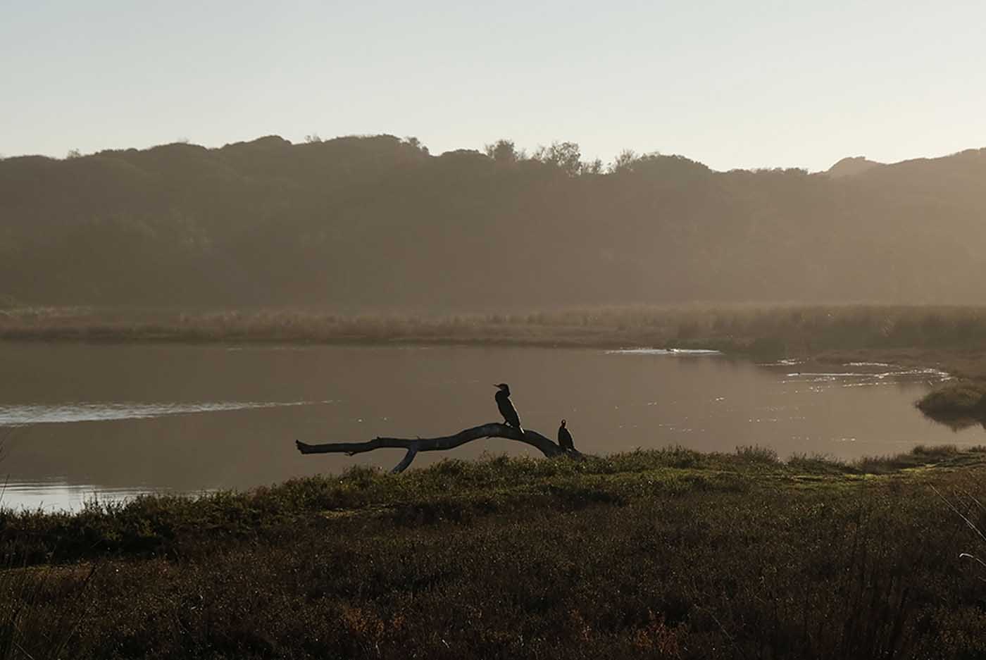 Mouth of the Powlett. Photo Julie Paterson