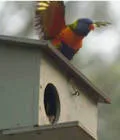 Image description