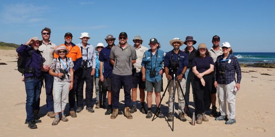 Partnering for plovers