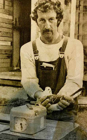 Image description