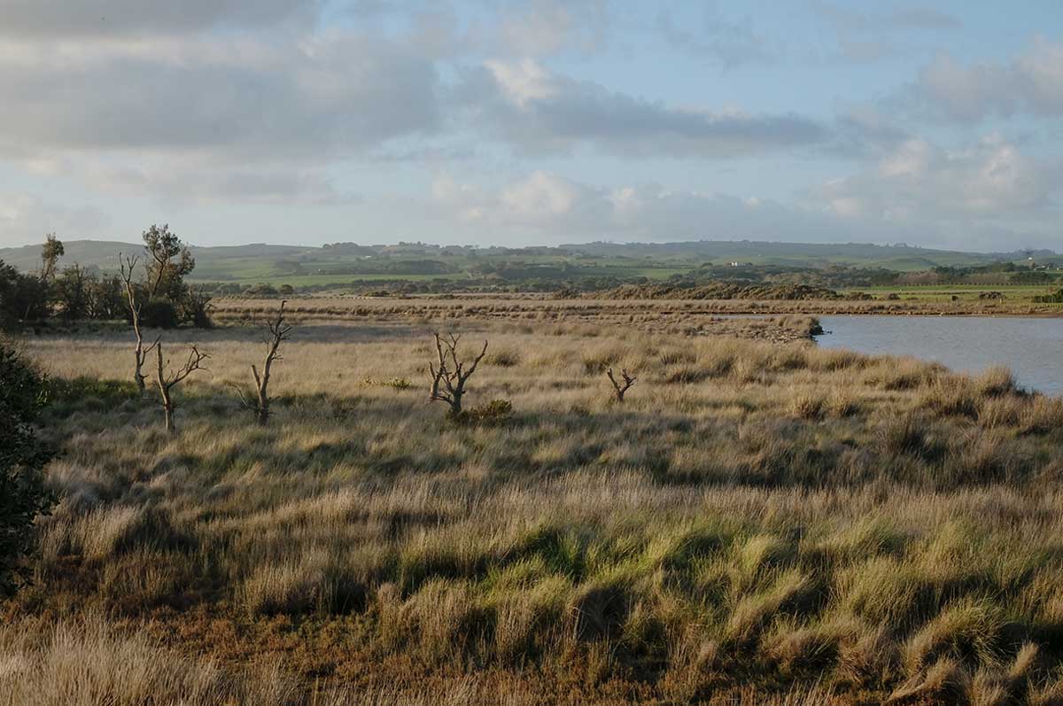 Mouth of the Powlett by Julie Paterson