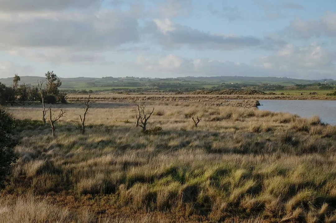 Mouth of the Powlett by Julie Paterson