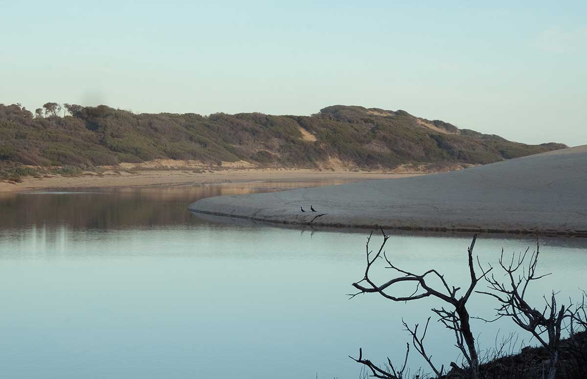 Mouth of the Powlett