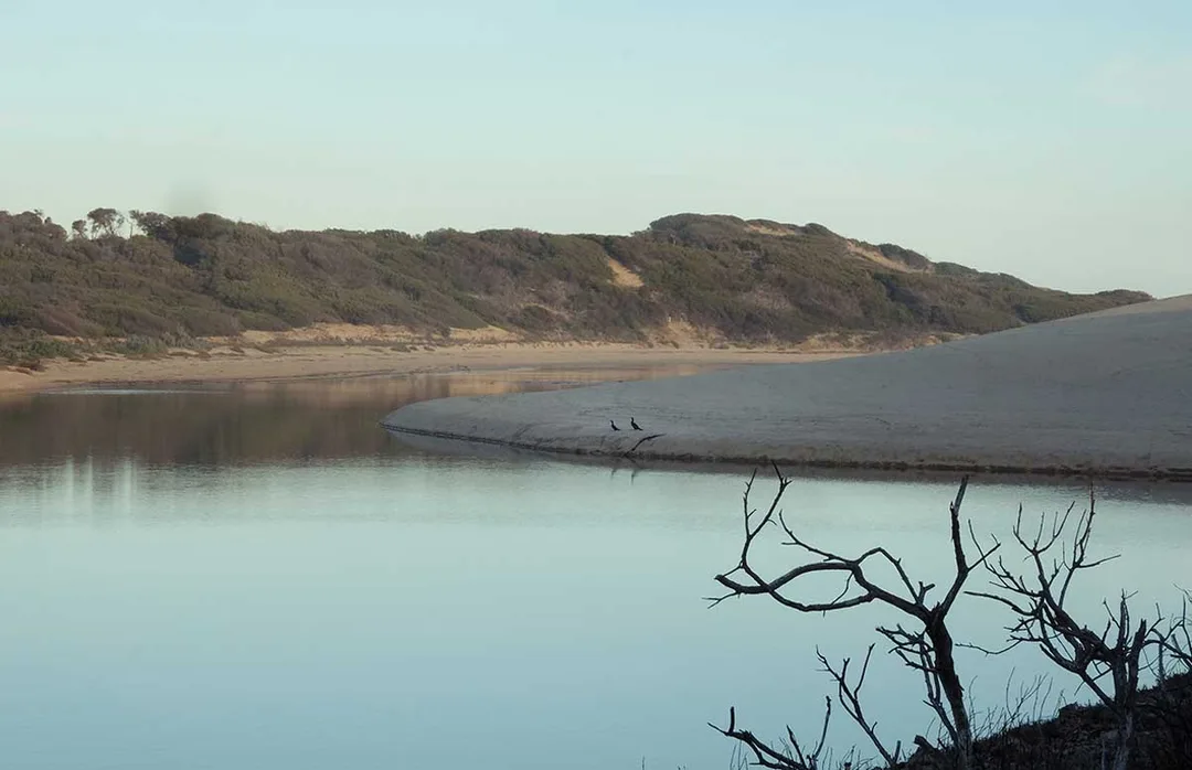 Mouth of the Powlett by Julie Paterson