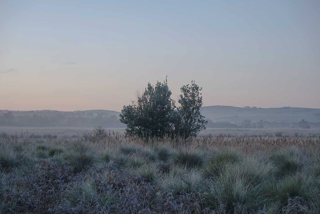 Mouth of the Powlett by Julie Paterson