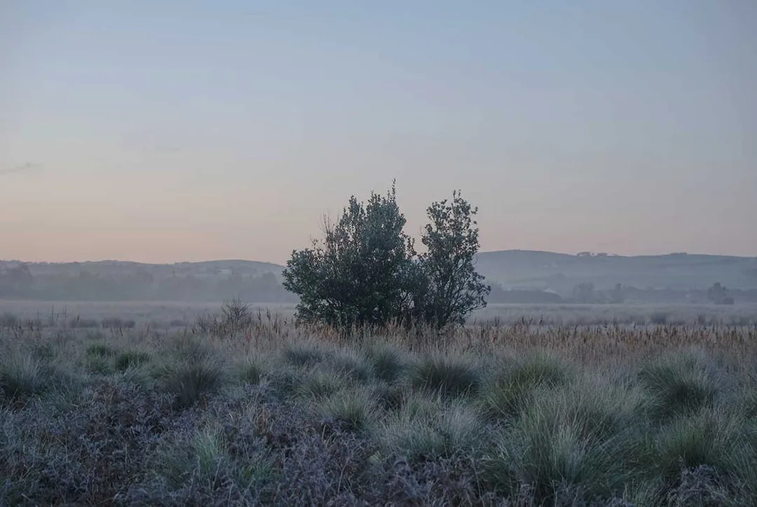 Mouth of the Powlett by Julie Paterson