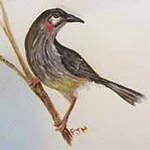 Image description