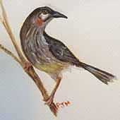 The solace of birds II