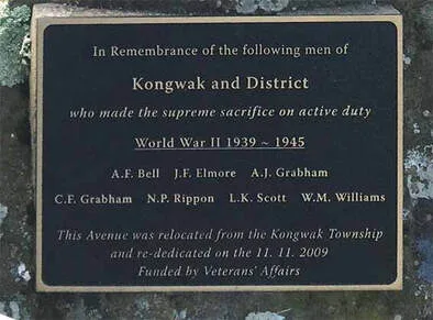 Image description