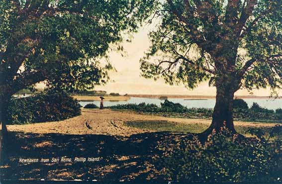 Picture