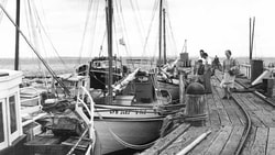 Image description