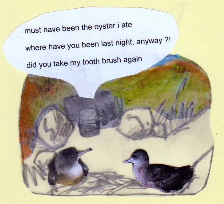The Secret lives of shearwaters, cartoon by Natasha Williams-Novak