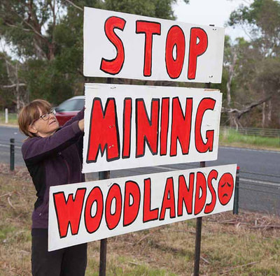 What we’re learning from the woodlands