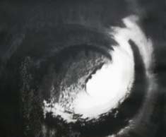 Ink images by Sofie Dieu