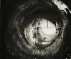 Ink images by Sofie Dieu