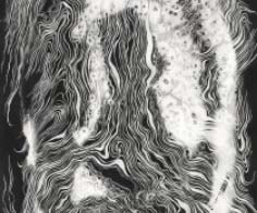 Ink images by Sofie Dieu