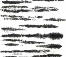 Ink images by Sofie Dieu