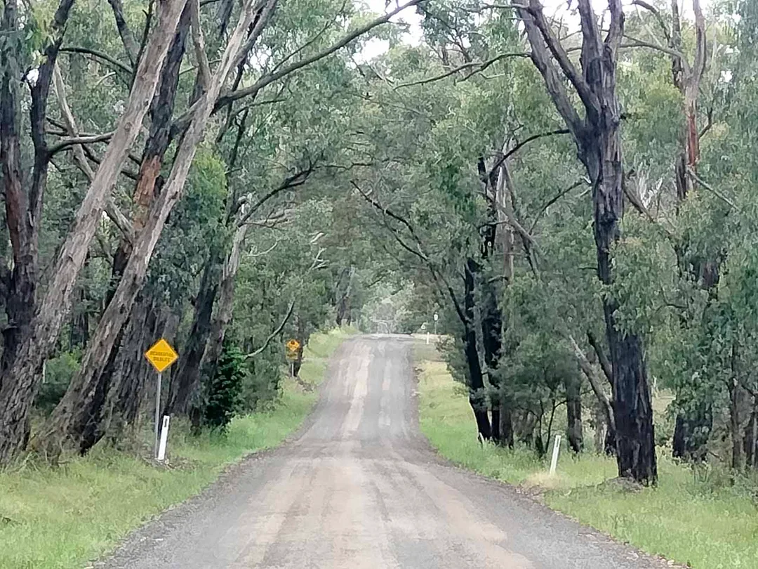 Stanley Road, Grantville. Photo: Catherine Watson