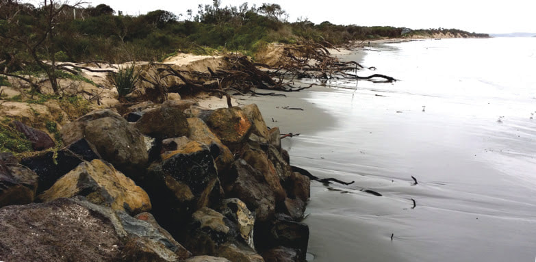 Slogans won’t save our beach