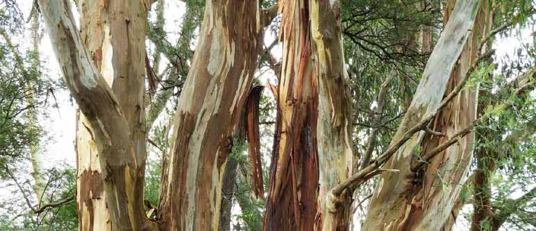 Rich pickings in Proving Ground