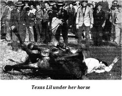 Image description