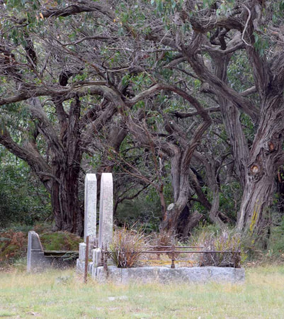 Cemetery clearing backlash