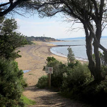 Beaches, bays and one fatal shot
