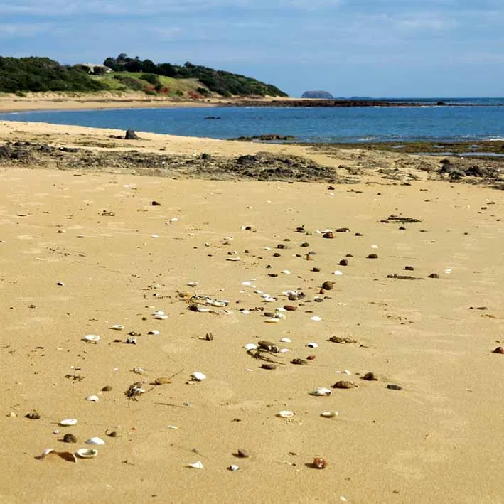 Ventnor, Phillip Island, photo by Linda Cuttriss, 2017