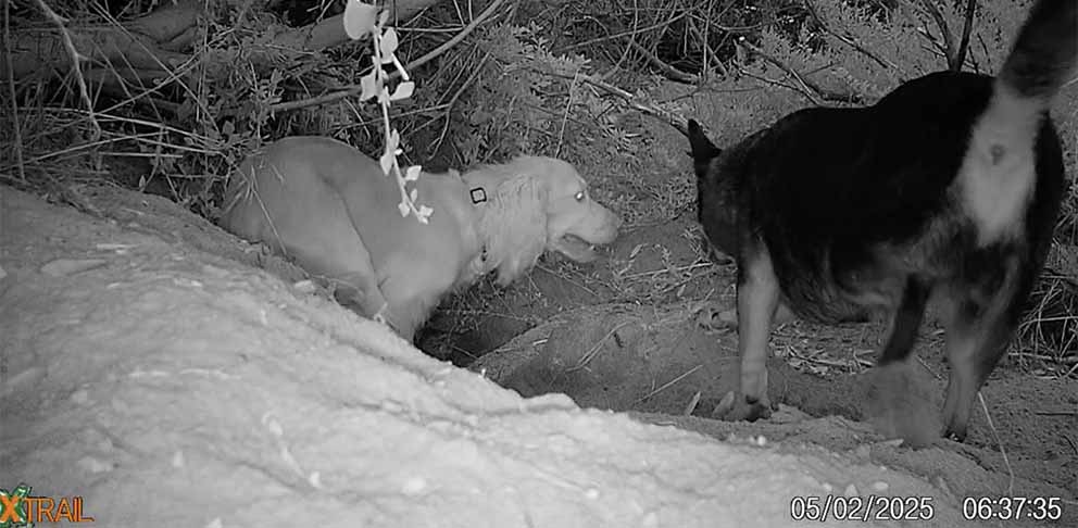 Image description