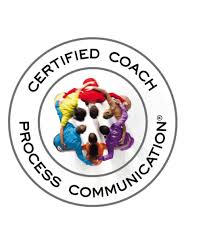 Your PCM Profile and 1hr 30 mins Coaching