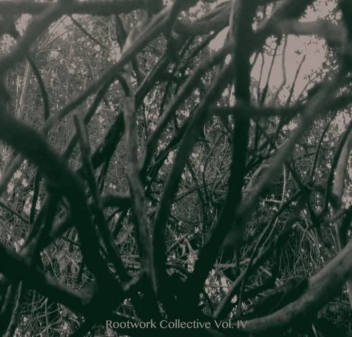 Rootwork Compilation Vol. 4