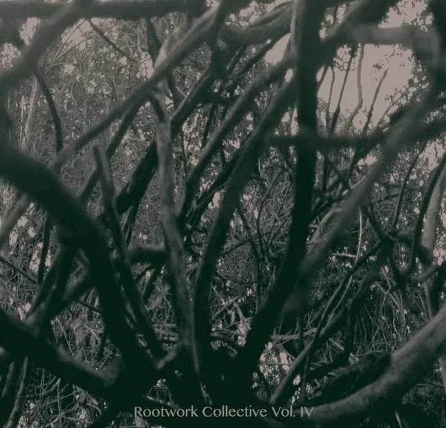 Rootwork compilation Vol.4