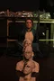 carousel chooser
