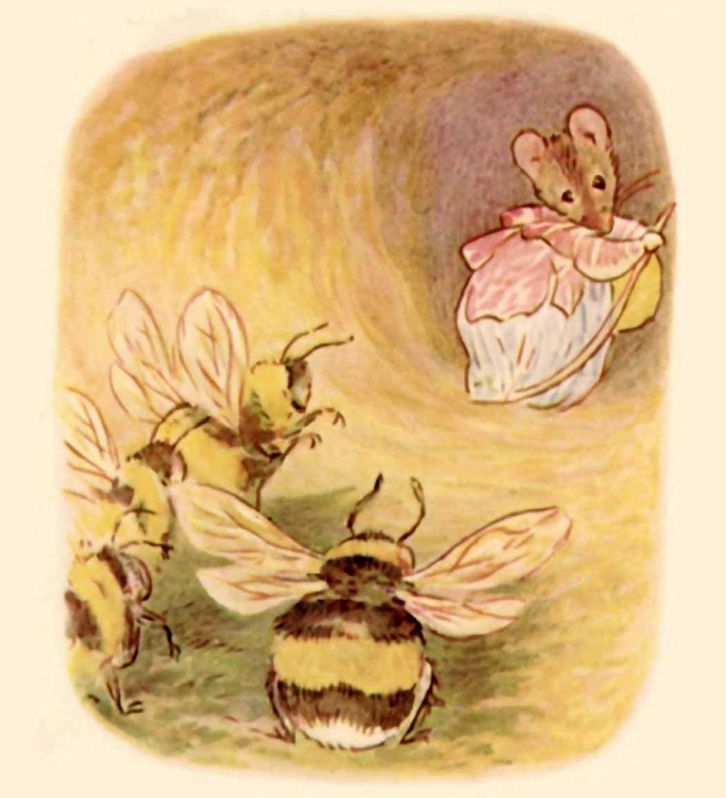 Image description