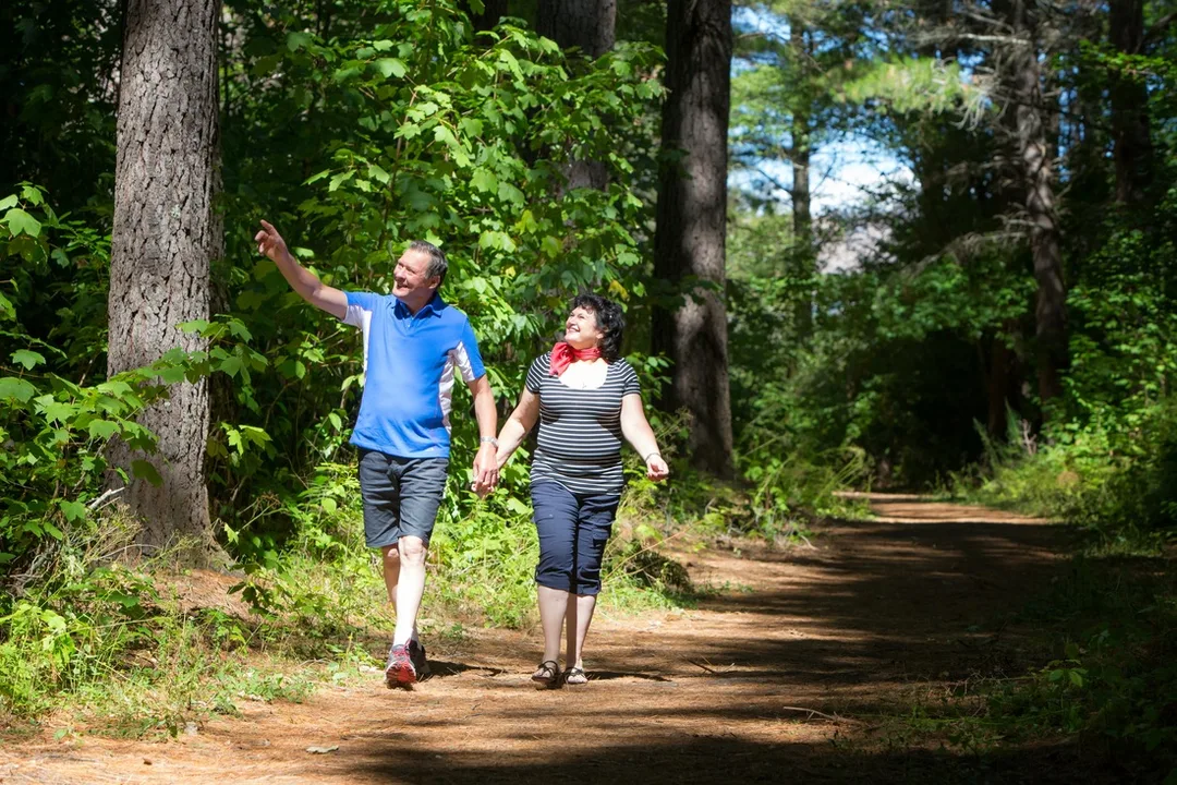 Hanmer forest walk