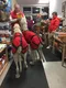 carousel chooser