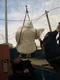 carousel chooser