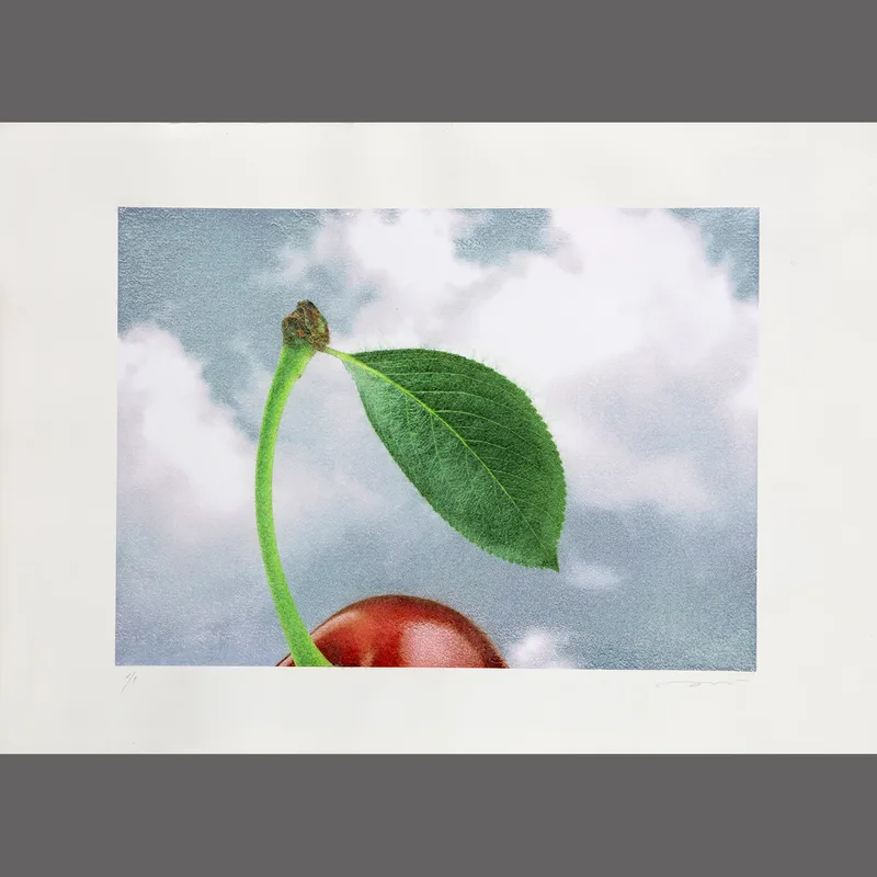 CHERRYLEAVE LIHOGRAPH (Unique Original) SIGNED