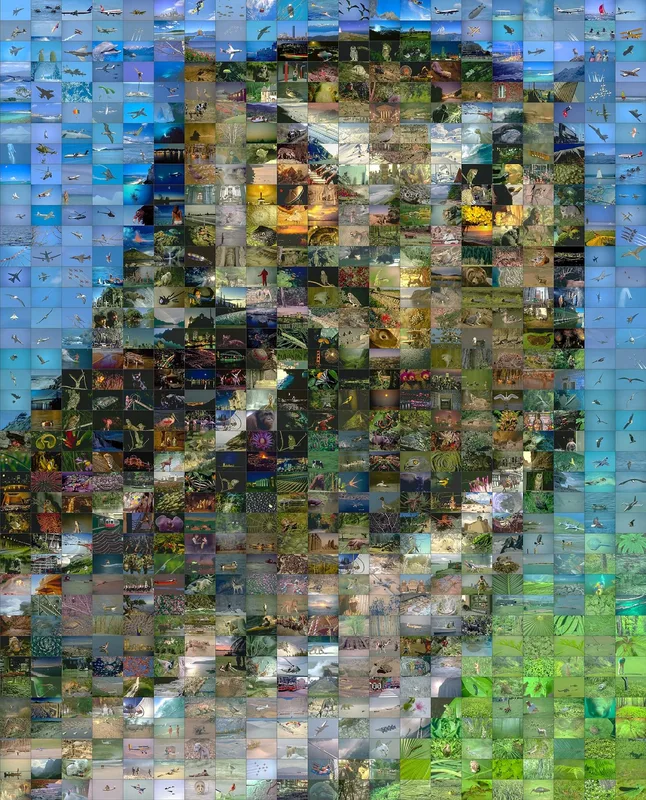 Picture
