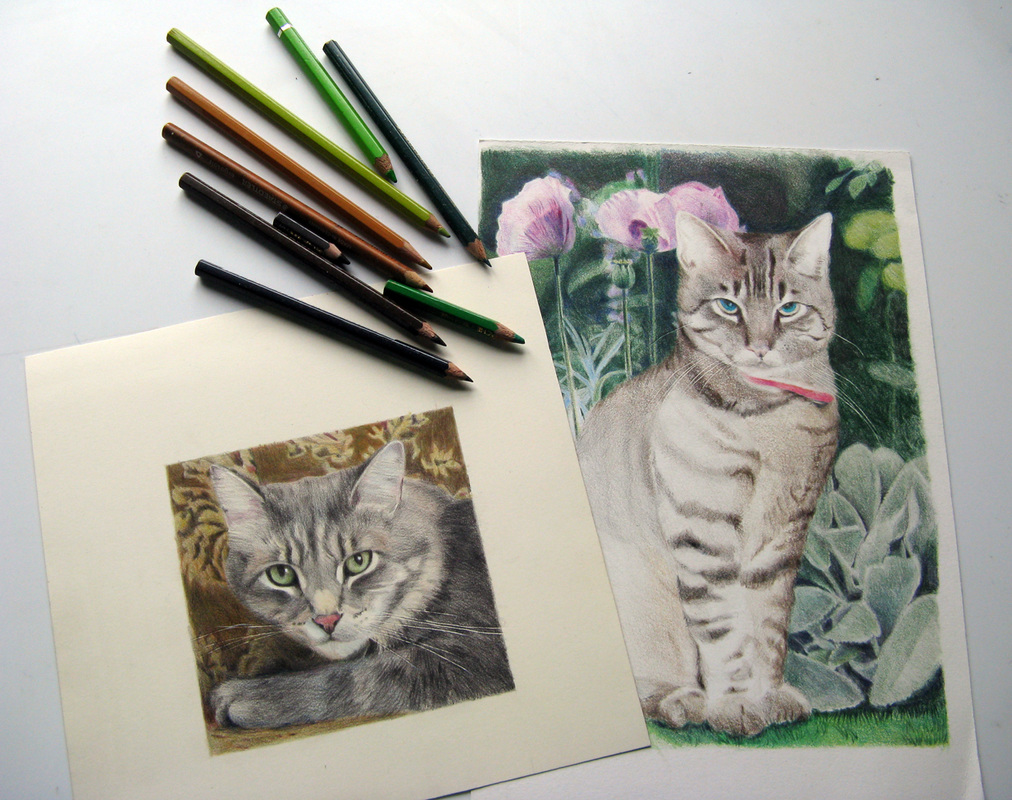 KATTEN / CATS