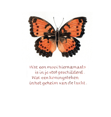 VLINDER / BUTTERFLY
