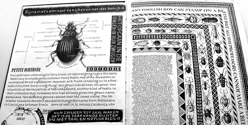 KEVERS / BEETLES