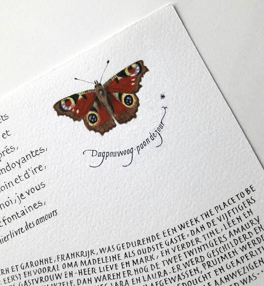 BUTTERFLIES