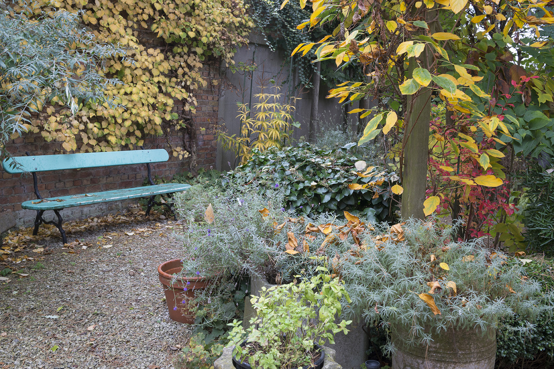 HERFSTPALET / AUTUMN PALLETTE