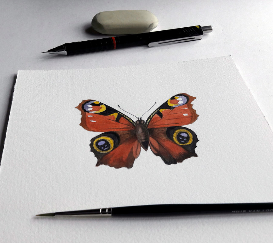 BUTTERFLY / VLINDER
