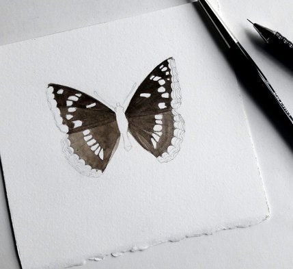 VLINDER / BUTTERFLY