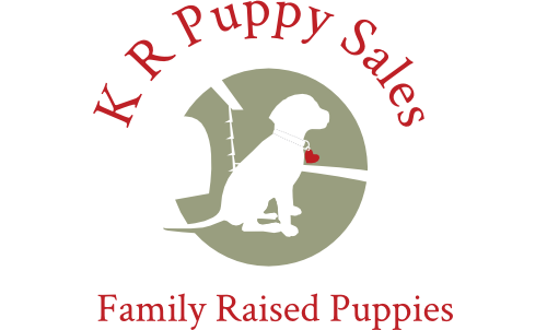 Logo says K R Puppy Sales, Family Raised Puppies, and shows a dog outline in front of a doghouse.