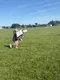 carousel chooser