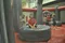 carousel chooser