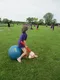 carousel chooser